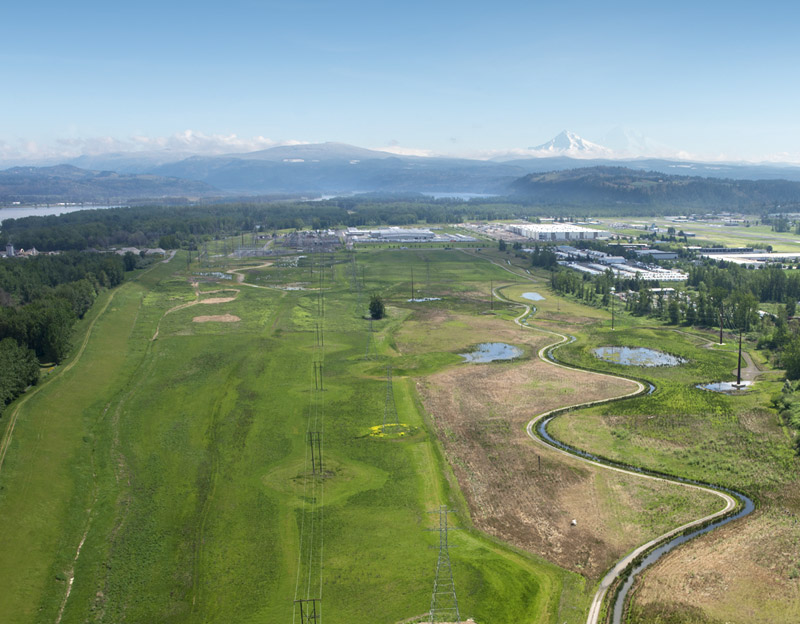 Troutdale Reynolds